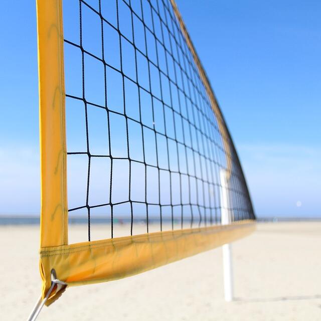 Multi-Purpose Knotted Sports N - Badminton Ina recension och pris